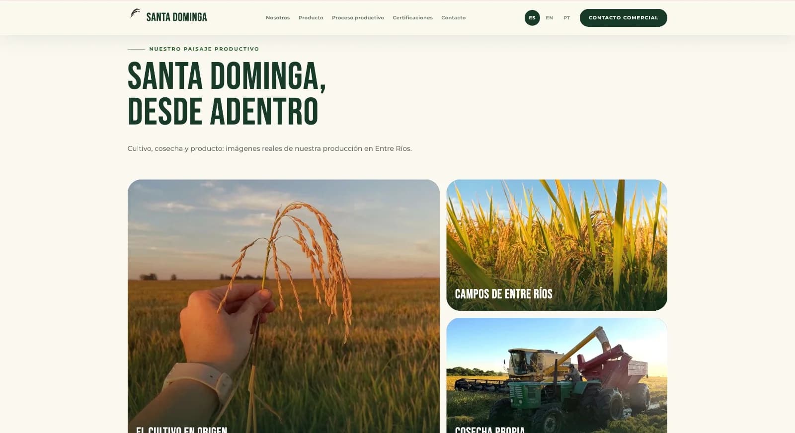 Galería del proceso productivo con cultivo y cosecha de arroz en Santa Dominga